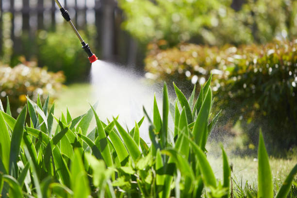 24/7 Emergency Mosquito Control experts in Groveport, OH