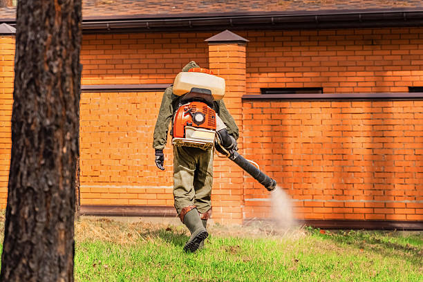 Top rated local Mosquito Control specialists in Groveport, OH